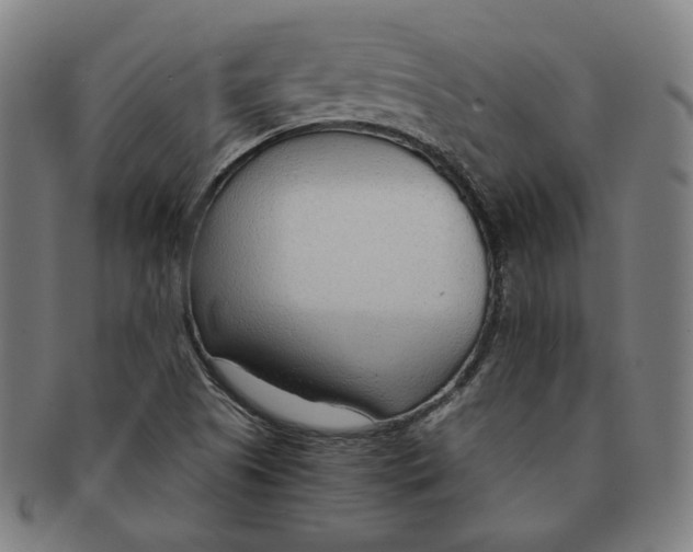 X0000090961505200708301150