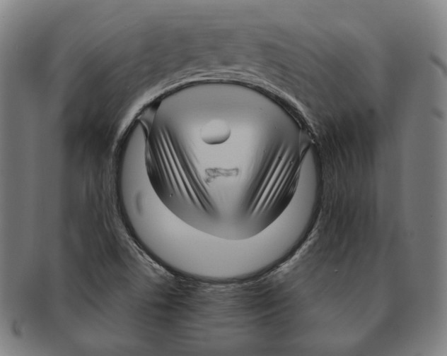 X0000090961506200708301150