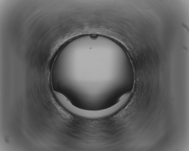 X0000090961507200708301151