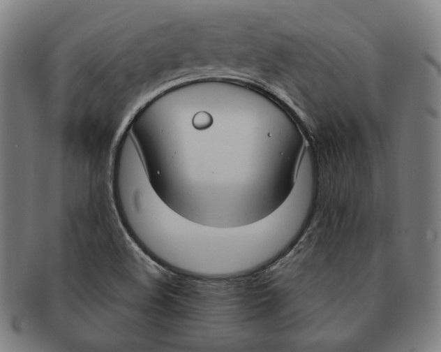 X0000090961508200708301151