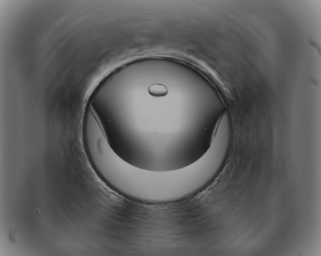 X0000090961512200708301151