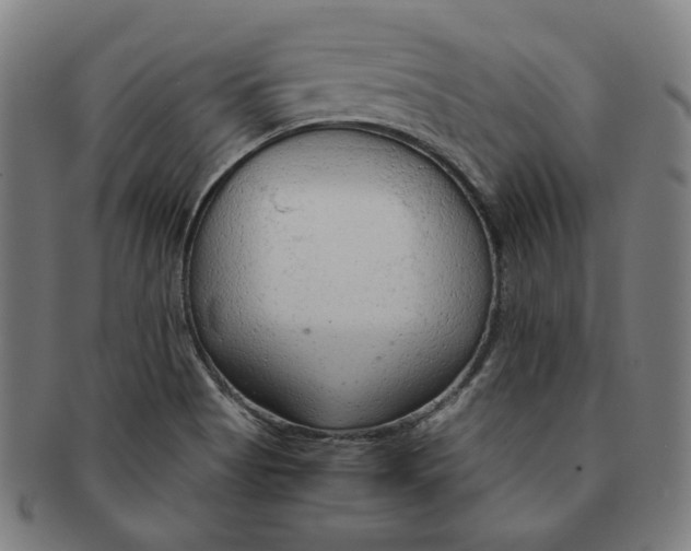 X0000090961513200708301151