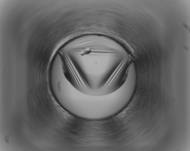 X0000090961514200708301151