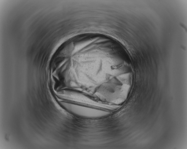 X0000090961515200708301151