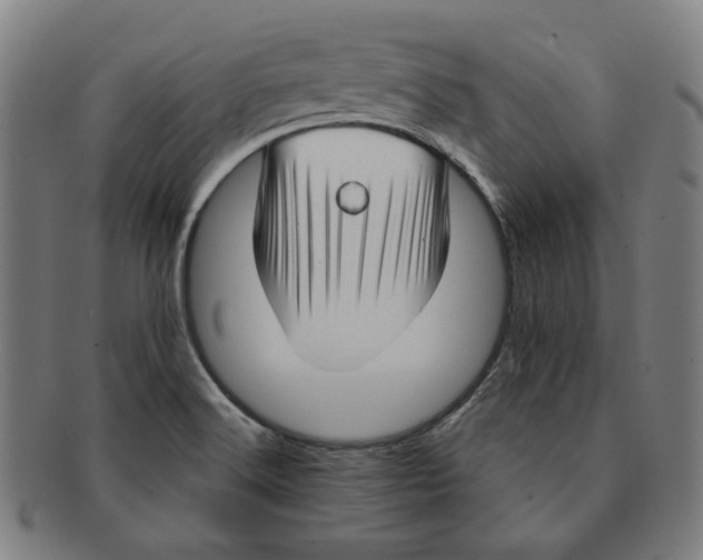 X0000090961516200708301151