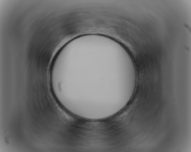 X0000090961517200708301151