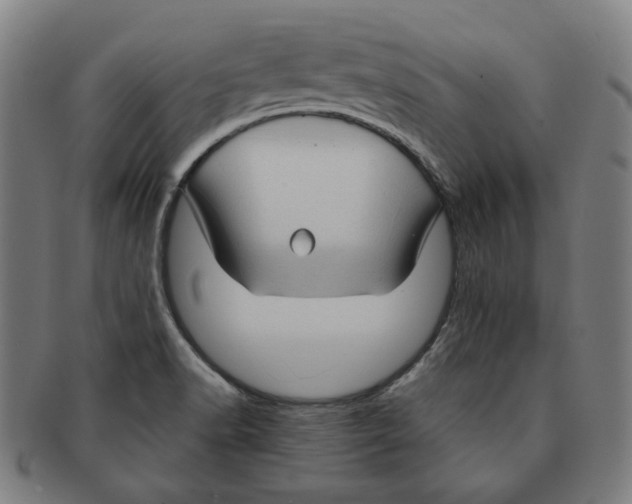 X0000090961518200708301151