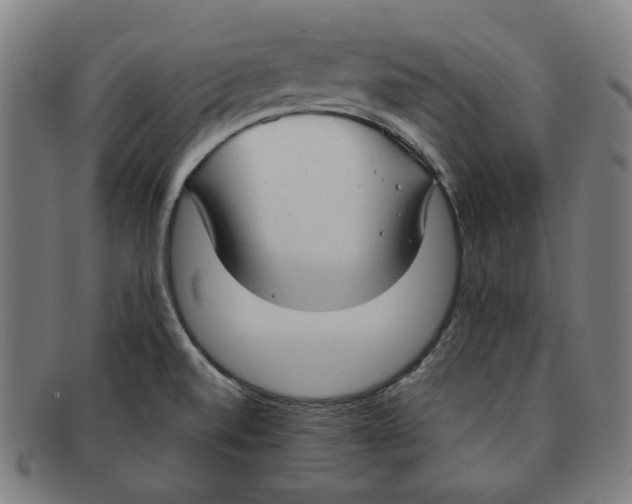 X0000090961520200708301151