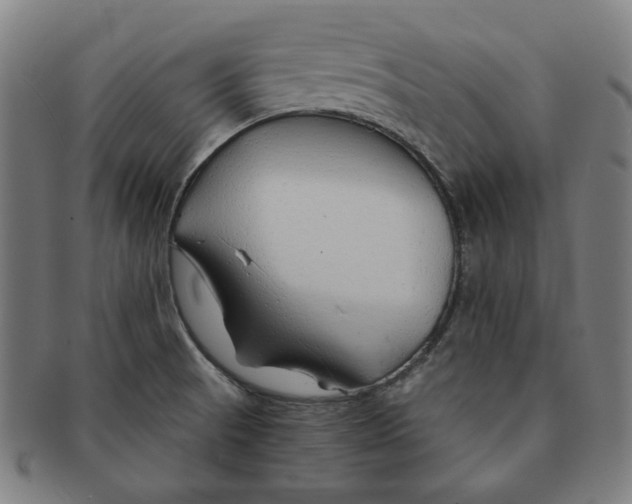 X0000090961521200708301151