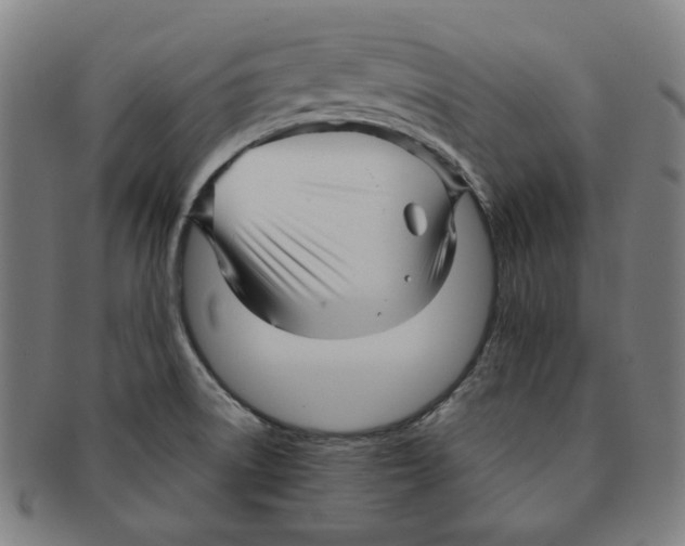 X0000090961522200708301151