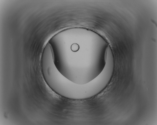 X0000090961524200708301151