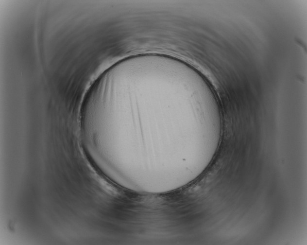 X0000090961525200708301151