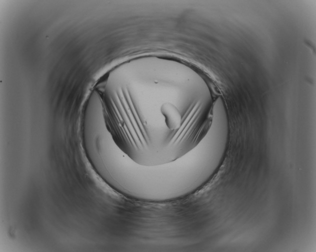 X0000090961526200708301151