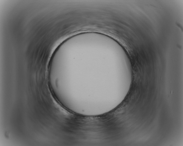 X0000090961527200708301151