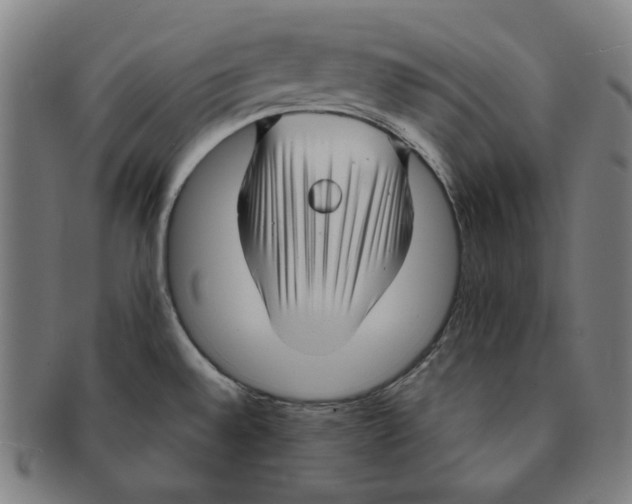 X0000090961528200708301151