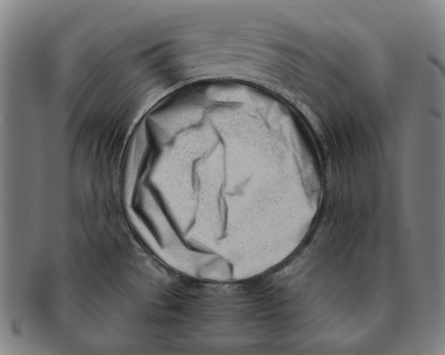 X0000090961529200708301151