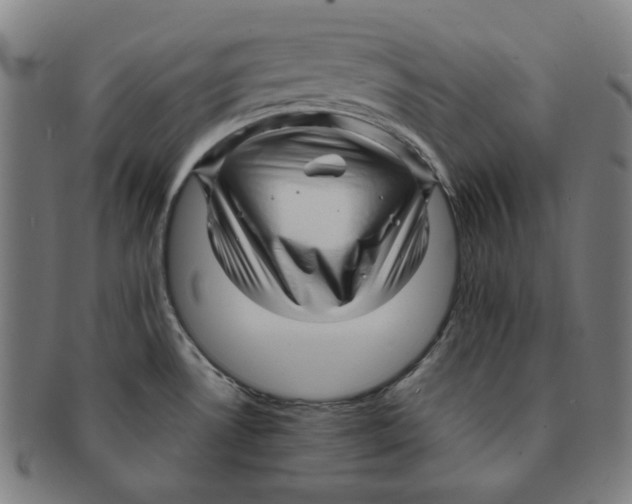 X0000090961530200708301151