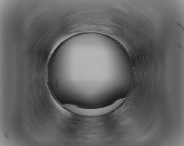 X0000090961531200708301151