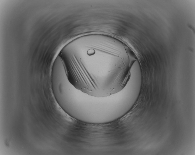 X0000090961532200708301151