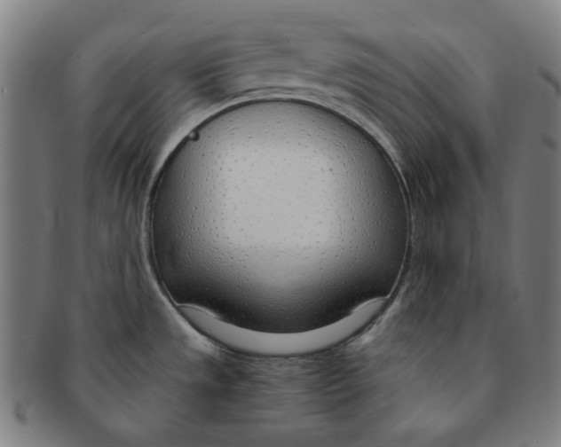 X0000090961533200708301151