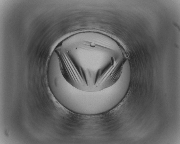 X0000090961534200708301151