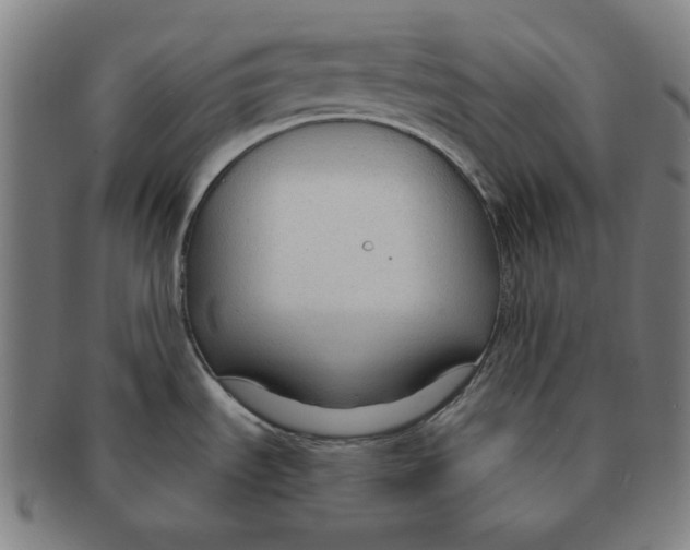 X0000090961535200708301151