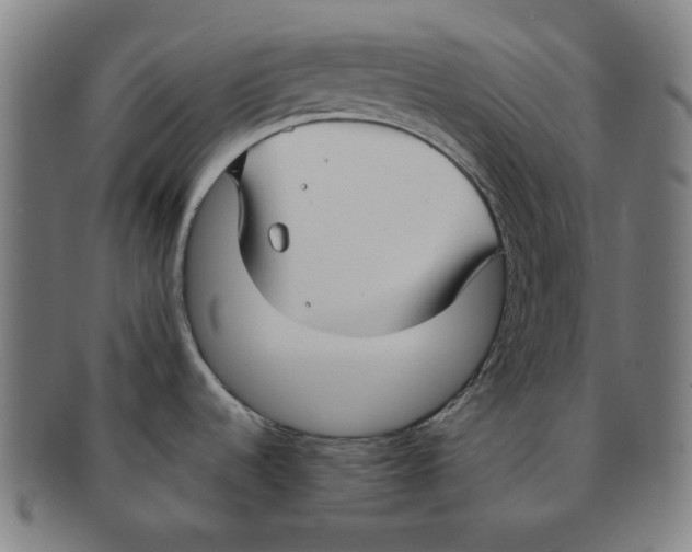 X0000090961536200708301151