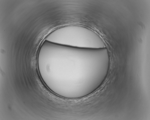 X0000090970002200708021152