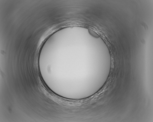 X0000090970004200708021152