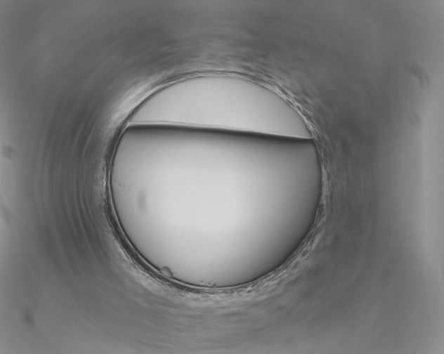 X0000090970005200708021152