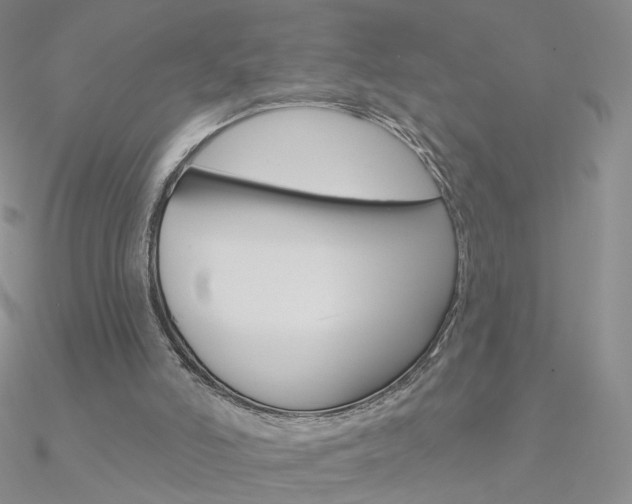 X0000090970006200708021152