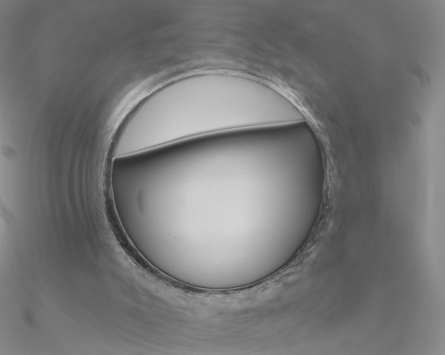 X0000090970007200708021152