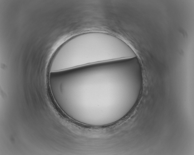 X0000090970008200708021152