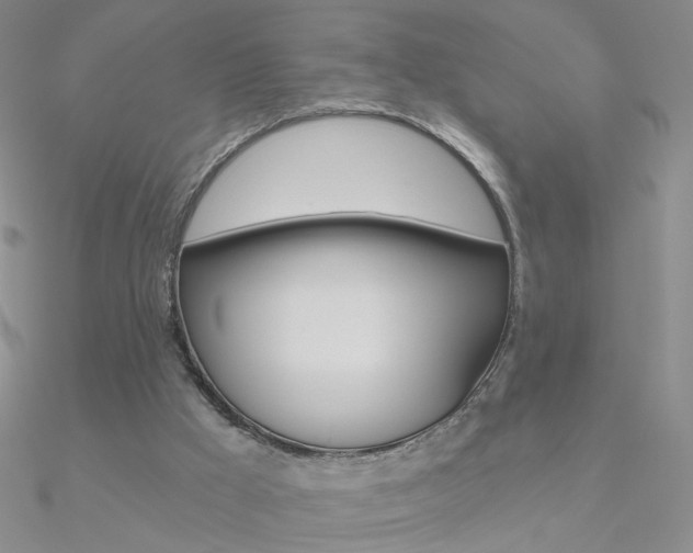 X0000090970009200708021152