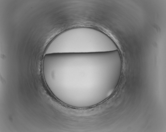 X0000090970010200708021152