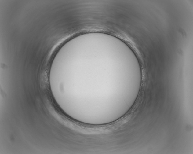 X0000090970012200708021152