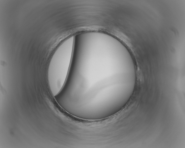 X0000090970013200708021152