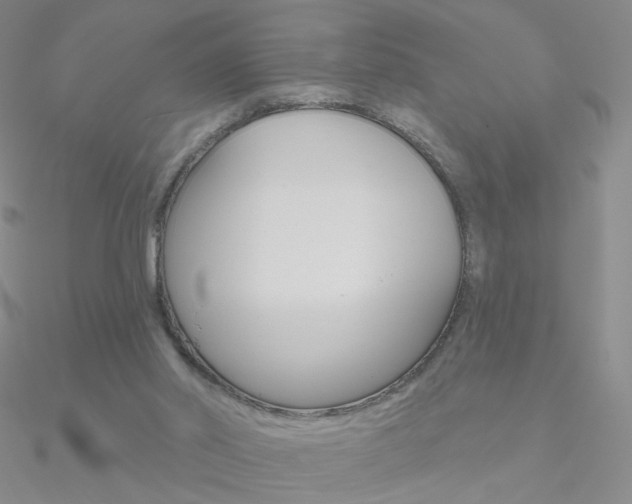 X0000090970014200708021152