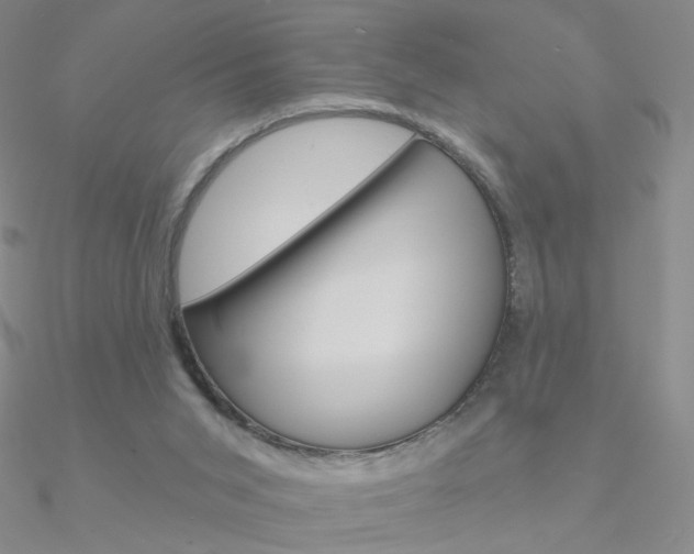 X0000090970015200708021152