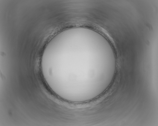 X0000090970018200708021152