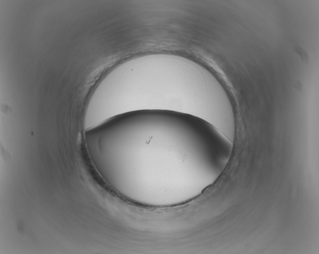 X0000090970019200708021152