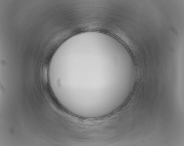 X0000090970022200708021152