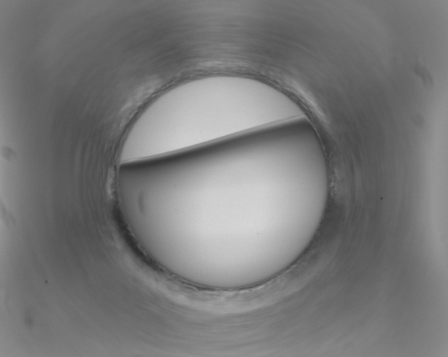 X0000090970023200708021152