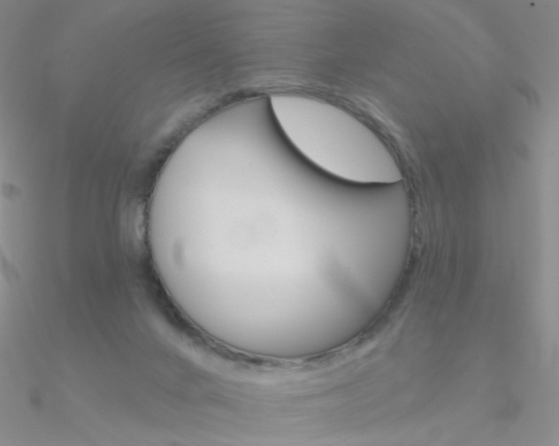 X0000090970024200708021152