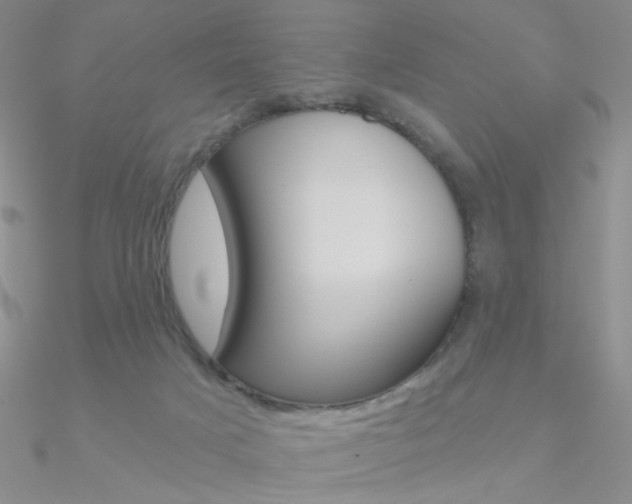 X0000090970025200708021152