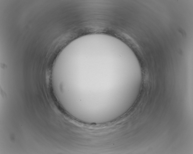 X0000090970026200708021151