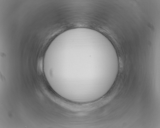 X0000090970028200708021151