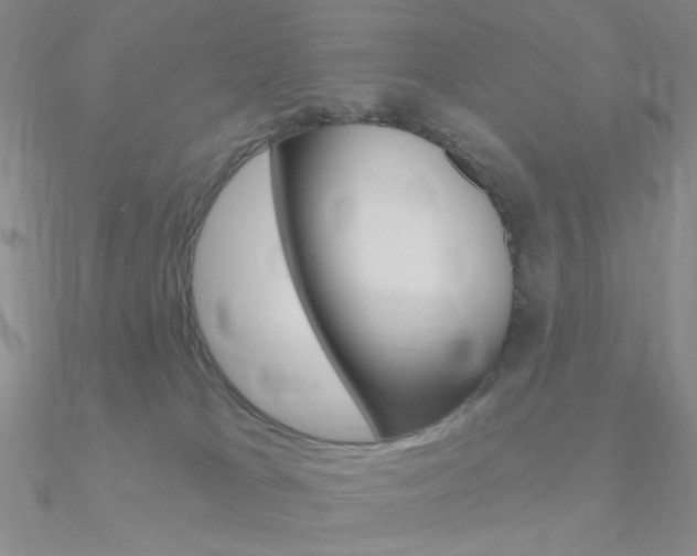 X0000090970037200708021151