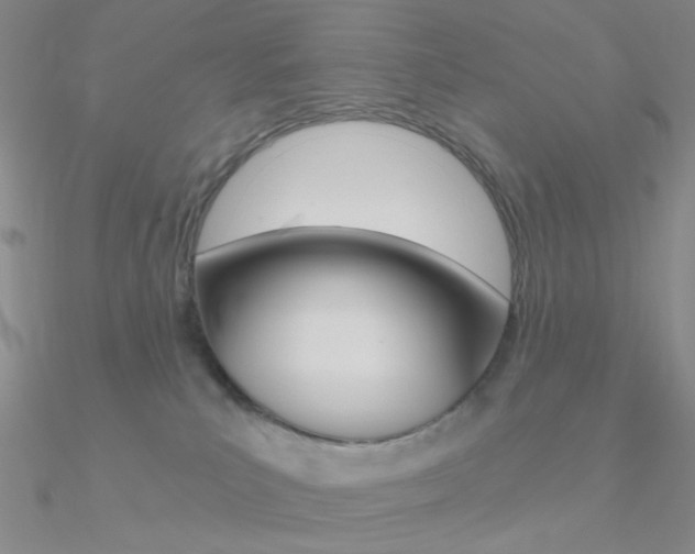 X0000090970039200708021151