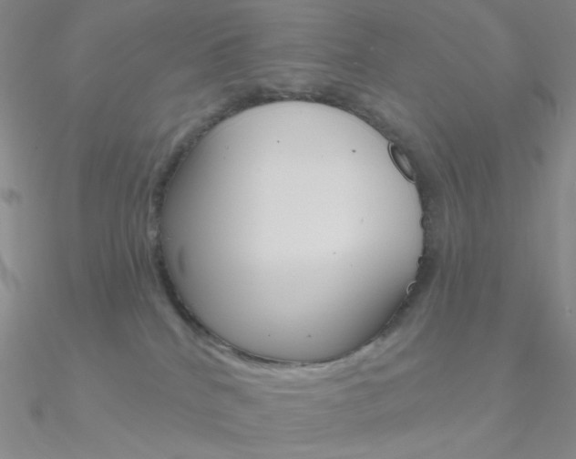 X0000090970040200708021151